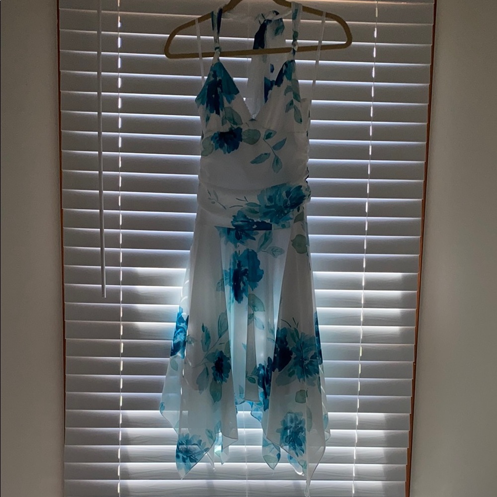 Floral Blue and White Dress